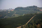 vindruvor091002-47.jpg