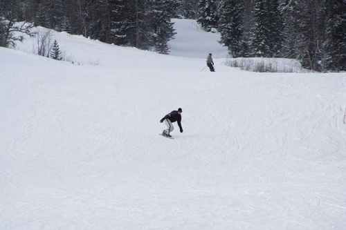 Vit vinter