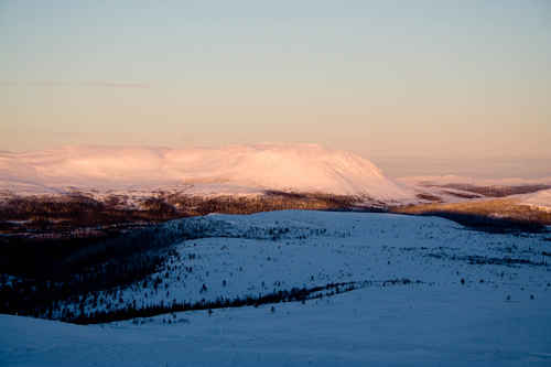 Vit vinter