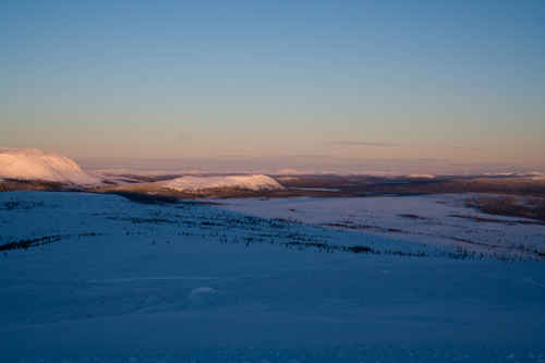 Vit vinter