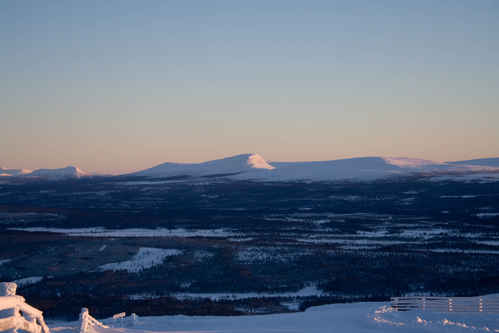 Vit vinter