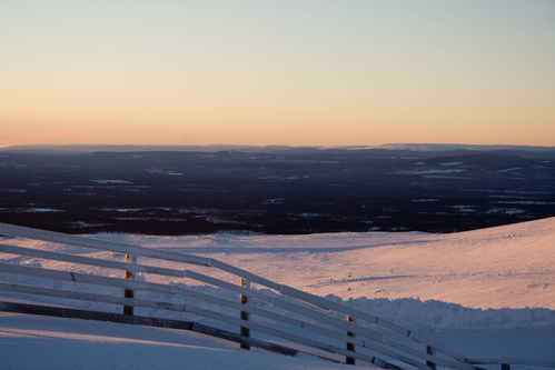 Vit vinter