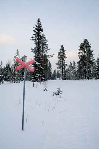 Vit vinter