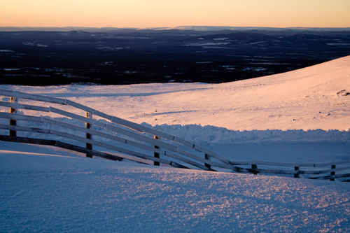 Vit vinter