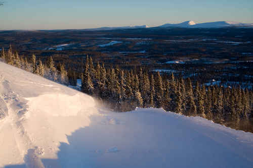 Vit vinter