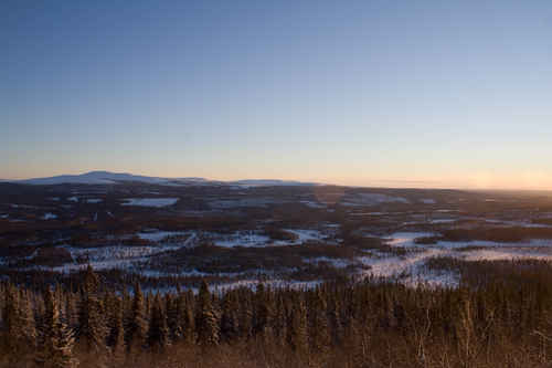 Vit vinter