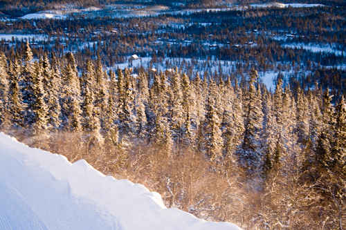 Vit vinter