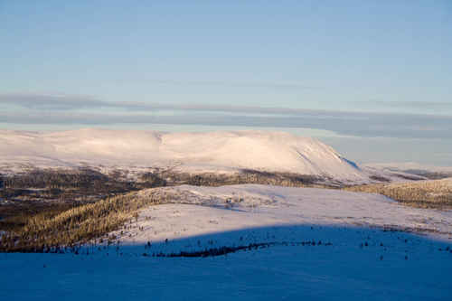 Vit vinter