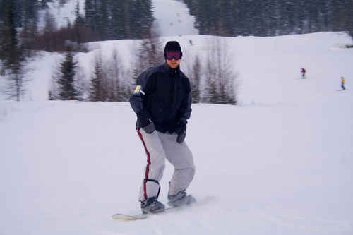 Vit vinter