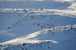 vinter080501-101.jpg