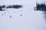 vinter080501-11.jpg