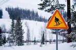 vinter080501-2.jpg