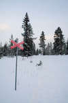 vinter080501-3.jpg