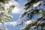 vinter080501-54.jpg