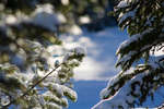 vinter080501-55.jpg