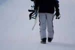 vinter080501-56.jpg