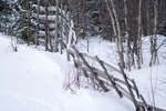 vinter080501-58.jpg