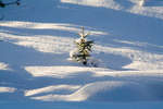 vinter080501-59.jpg