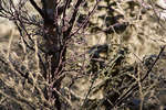 vinter080501-61.jpg