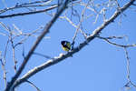 vinter080501-63.jpg