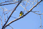 vinter080501-64.jpg