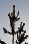 vinter080501-67.jpg