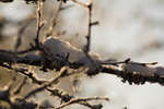 vinter080501-68.jpg