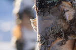 vinter080501-69.jpg