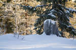 vinter080501-70.jpg