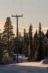 vinter080501-72.jpg