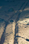 vinter080501-73.jpg