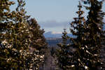 vinter080501-74.jpg