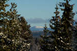 vinter080501-75.jpg
