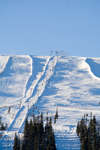 vinter080501-77.jpg