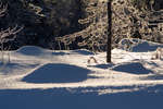 vinter080501-79.jpg