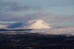 vinter080501-86.jpg