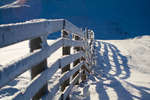 vinter080501-99.jpg