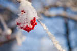 vinter091219-07.jpg