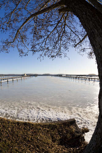 Vinter vid Mälaren