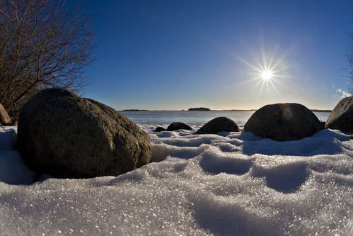 Vinter vid Mälaren
