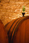 vintunna091114-04.jpg